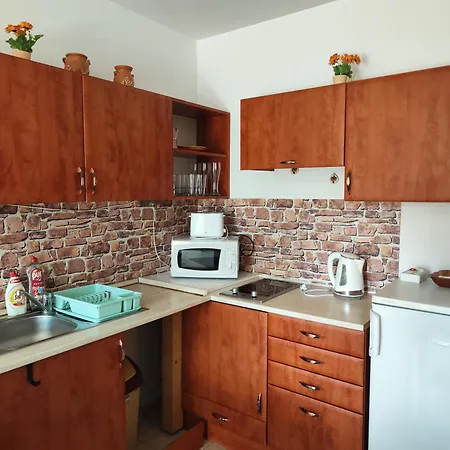 Plazs Wellnes Apartment